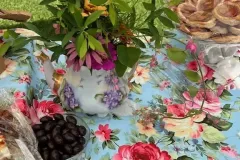 2026-07-21-WAH-Tuesday-Tea-03