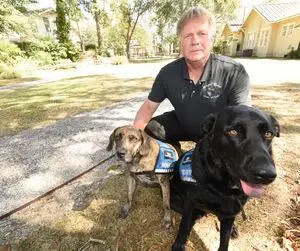 2016 10 10 dothan eagle wiregrass angel house therapy dogs