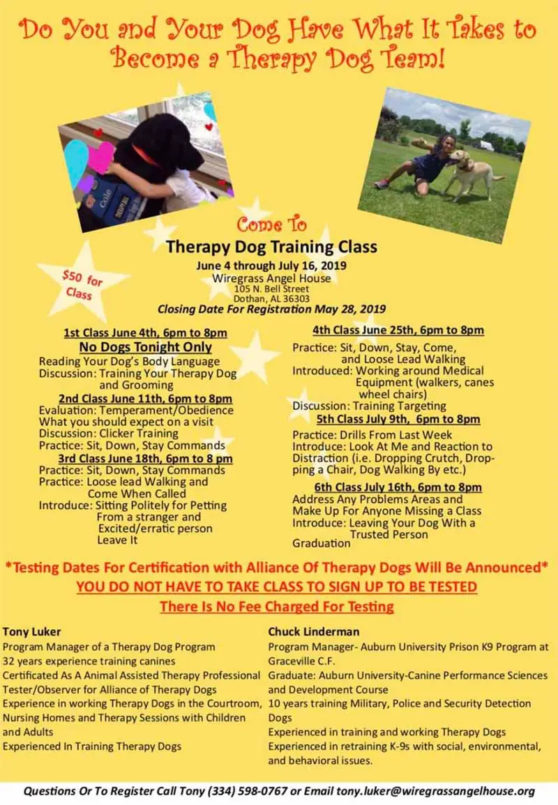 2019 07 16 therapy dog training class