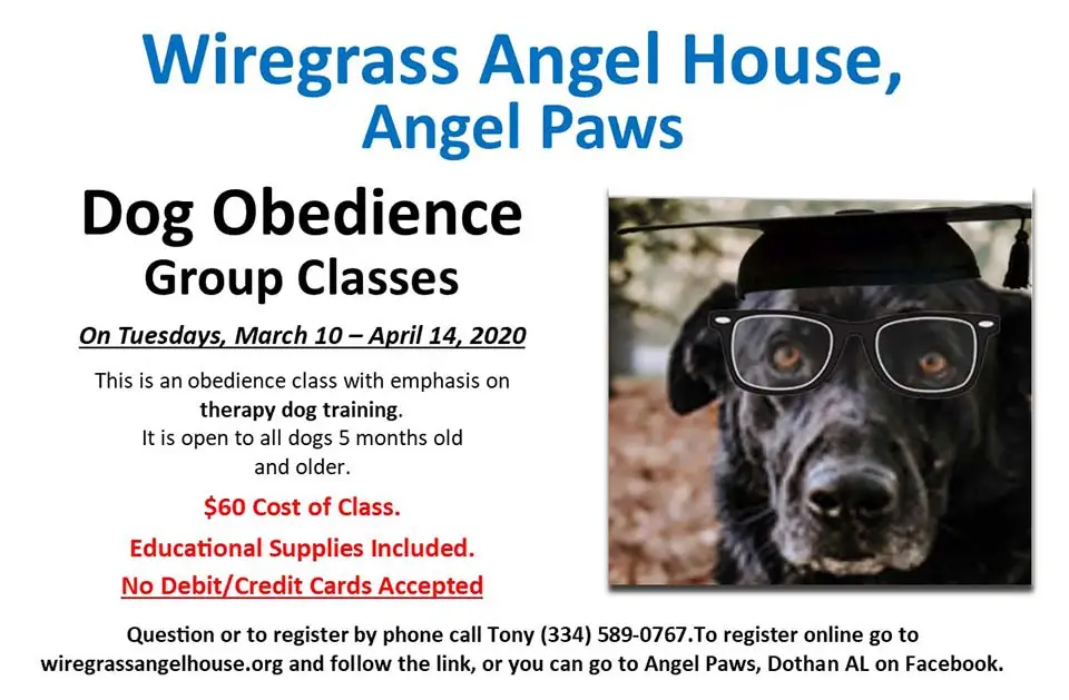 2020 03 10 to 04 14 wah dog obedience classes